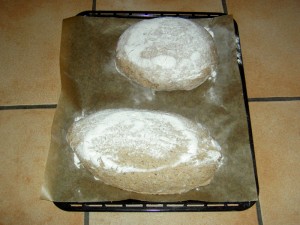 Zwei leckere Brote aus einem Teil des Trebers ...