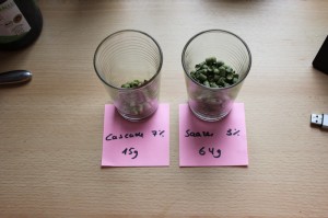 Der vorbereitete Hopfen, Saazer und Cascade