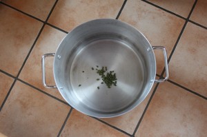 Die vorbereitete Vorderwürzehopfung