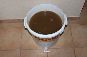 25 Liter gekühlte Würze vor dem Anstellen